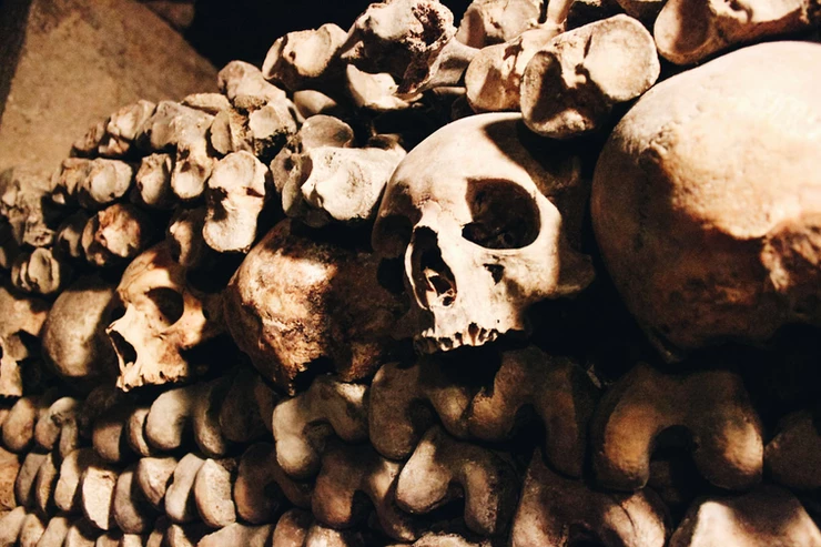 creepy skulls in the Catacombs in Paris