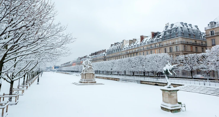 Tuileries Garden in winter