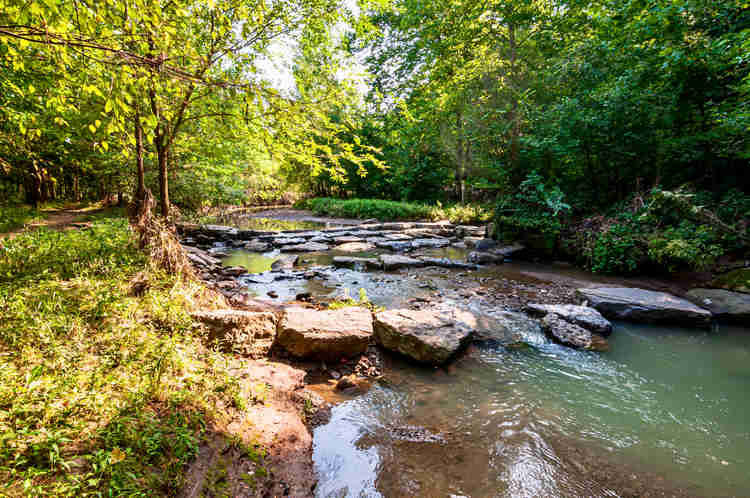 Nine Mile Run, a stream in Frick Park