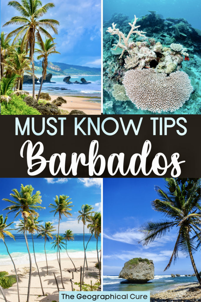 Tips For Visiting Barbados - The Geographical Cure