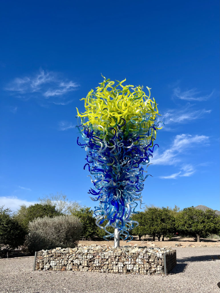 a Dale Chihuly 
