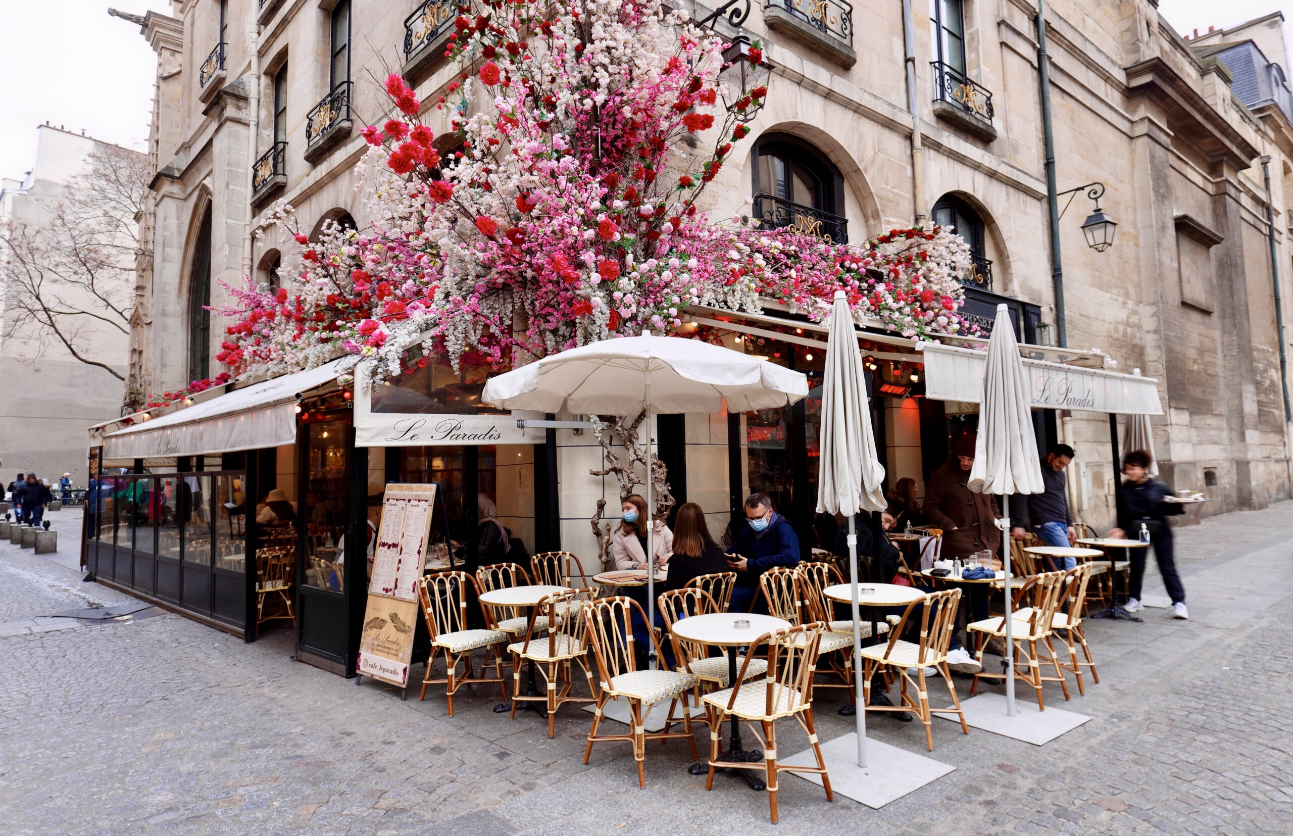30+ Best And Most Beautiful Cafes In Paris The Geographical Cure